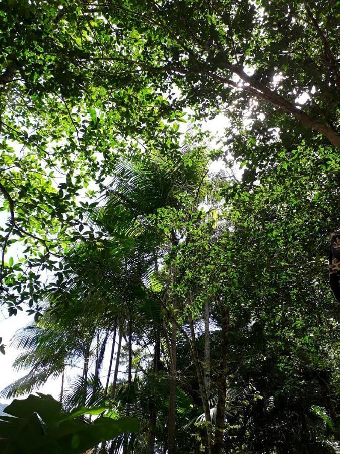 Sumatra Ecolodge 상세바스티앙 외부 사진
