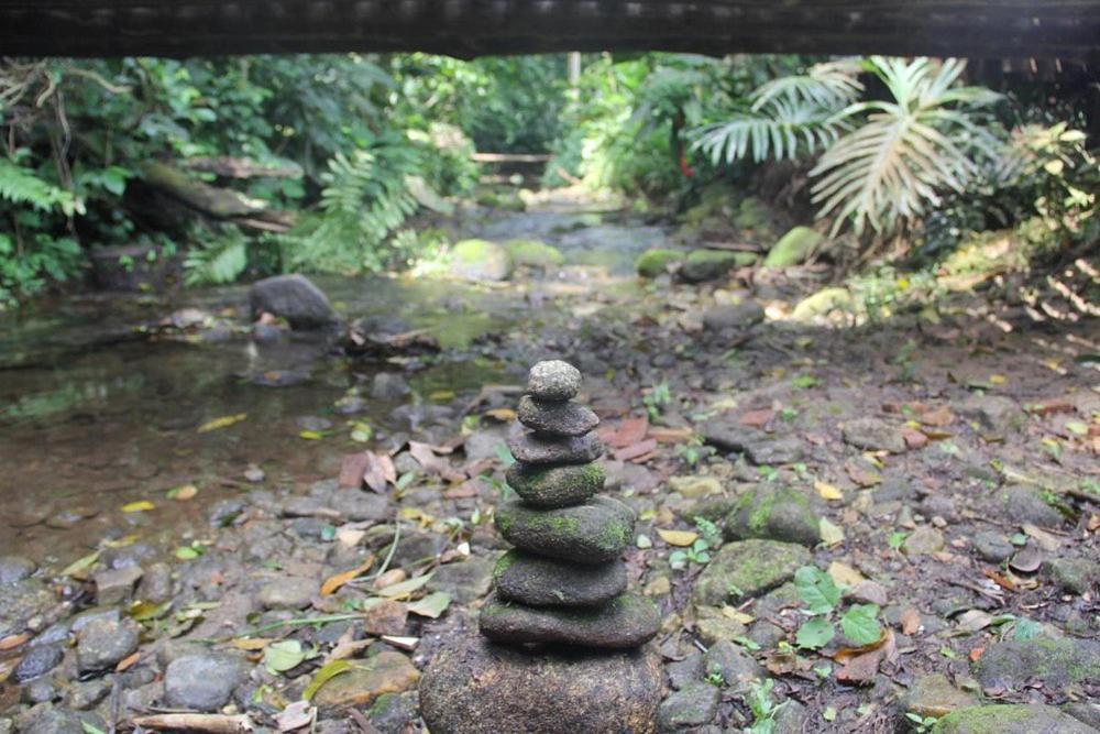Sumatra Ecolodge 상세바스티앙 외부 사진
