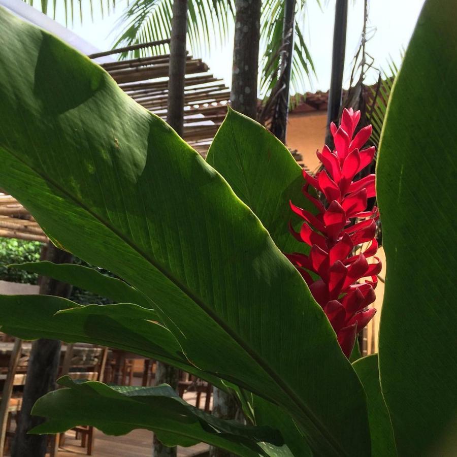 Sumatra Ecolodge 상세바스티앙 외부 사진