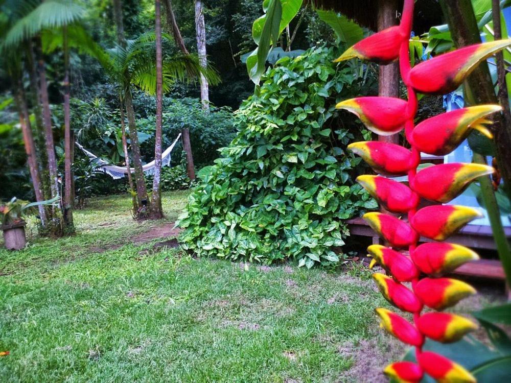 Sumatra Ecolodge 상세바스티앙 외부 사진