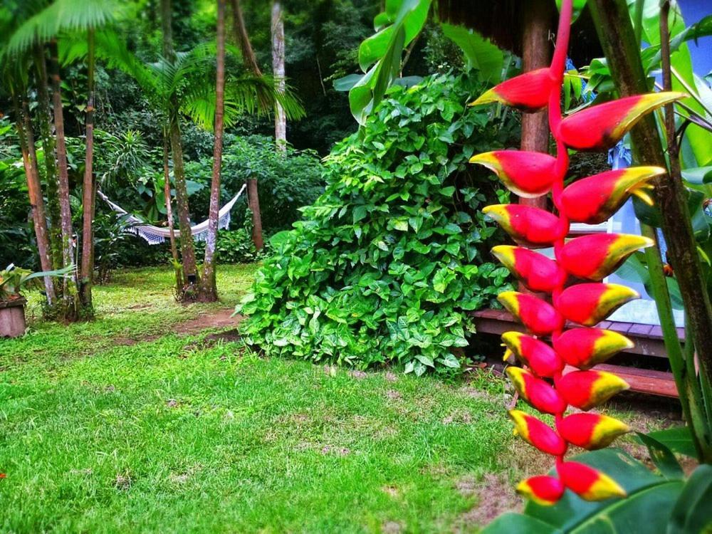 Sumatra Ecolodge 상세바스티앙 외부 사진
